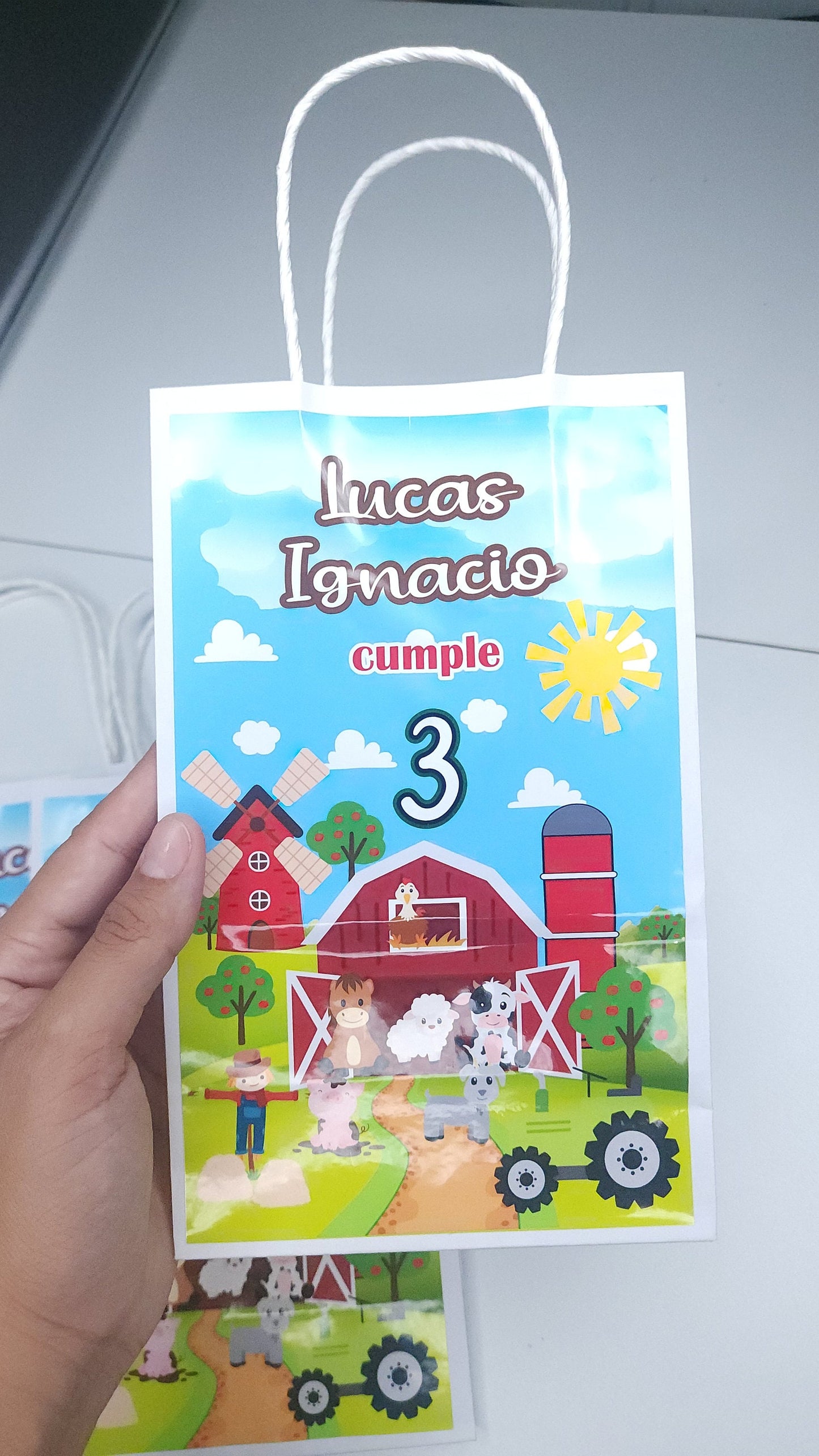 Farm Favor Bags, Farm Party Decorations, Farm Party Favor, Farm Birthday Party Decorations, Farm goodie bags, Farm Birthdat Party