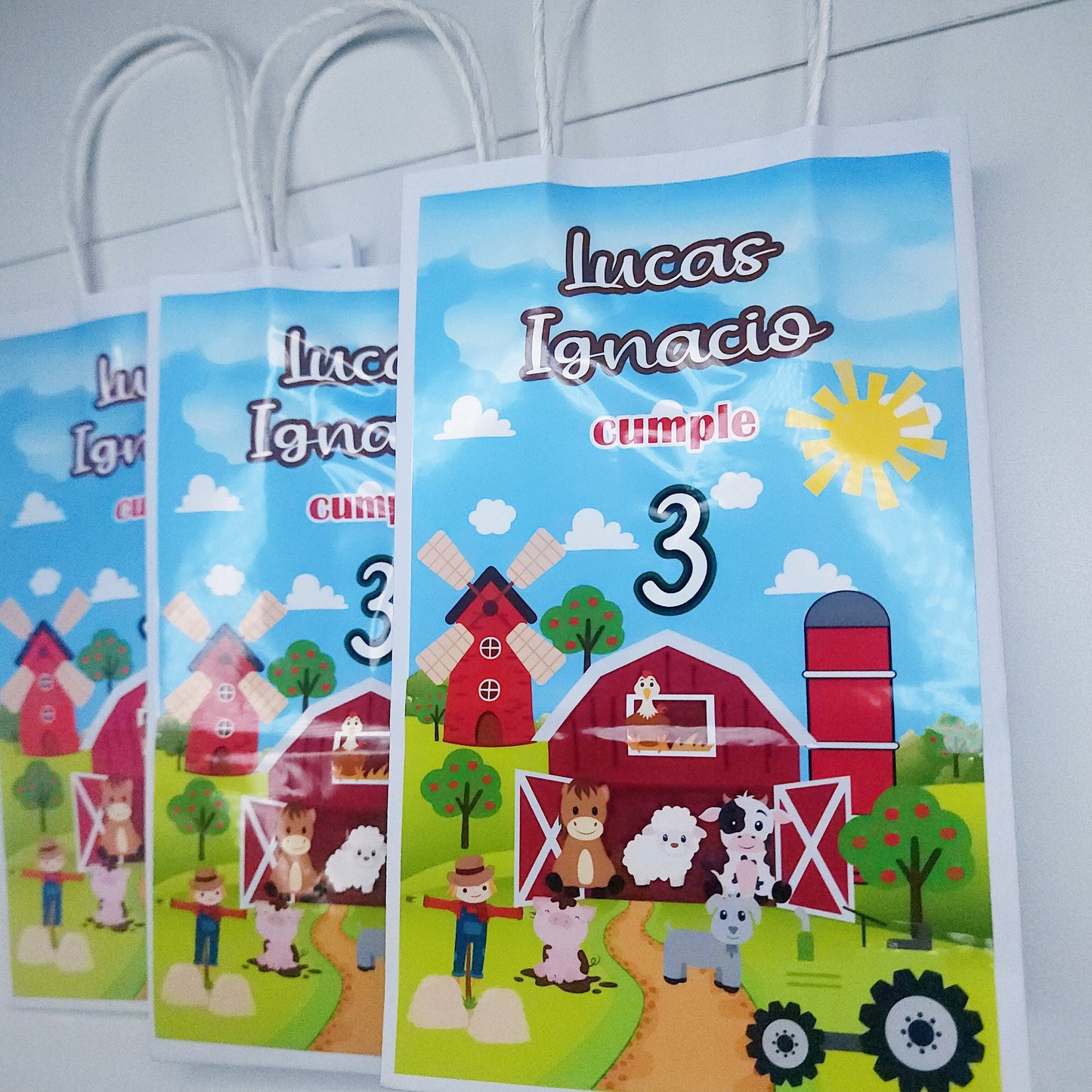 Farm Favor Bags, Farm Party Decorations, Farm Party Favor, Farm Birthday Party Decorations, Farm goodie bags, Farm Birthdat Party