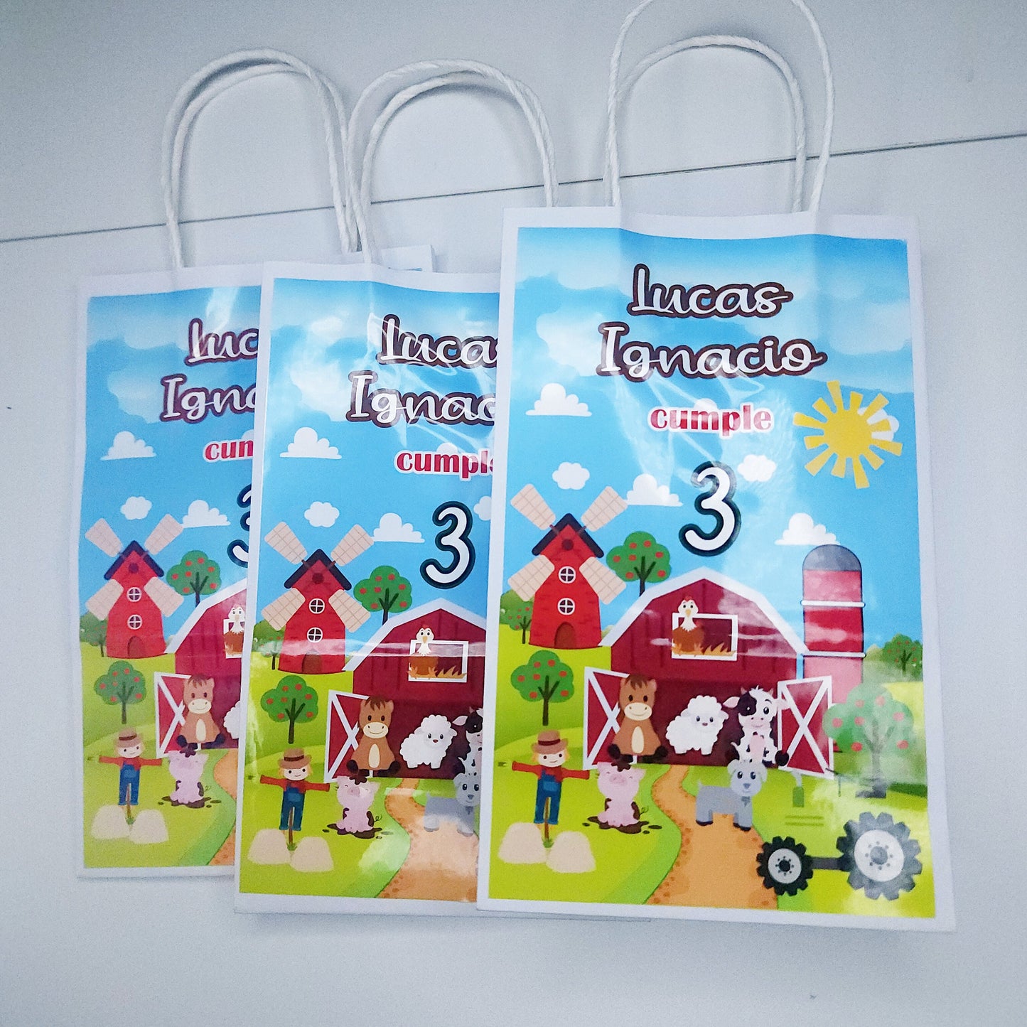 Farm Favor Bags, Farm Party Decorations, Farm Party Favor, Farm Birthday Party Decorations, Farm goodie bags, Farm Birthdat Party